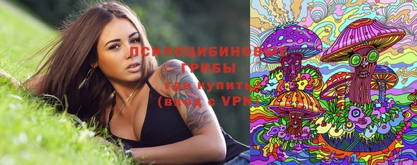 а пвп мука Вяземский
