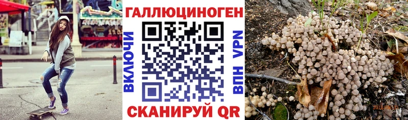 Псилоцибиновые грибы Psilocybe дарк нет наркотические препараты Лысьва